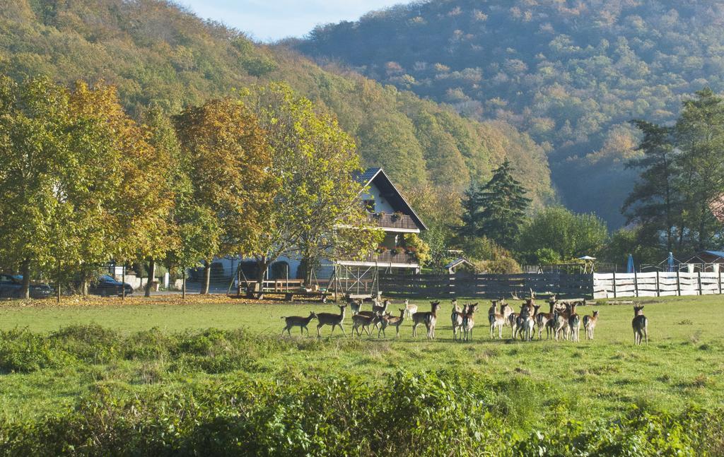 Pension Margarete Handthal エクステリア 写真